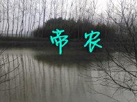 Dinon