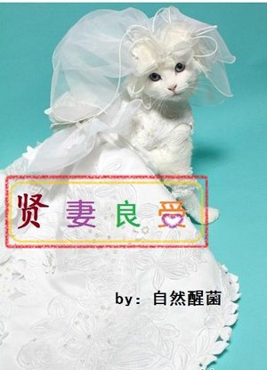 good wife