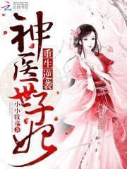 Shi Feijiao, Perfect World Novel Wiki