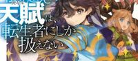 Overlimit Skill Holder (Web Novel JP)